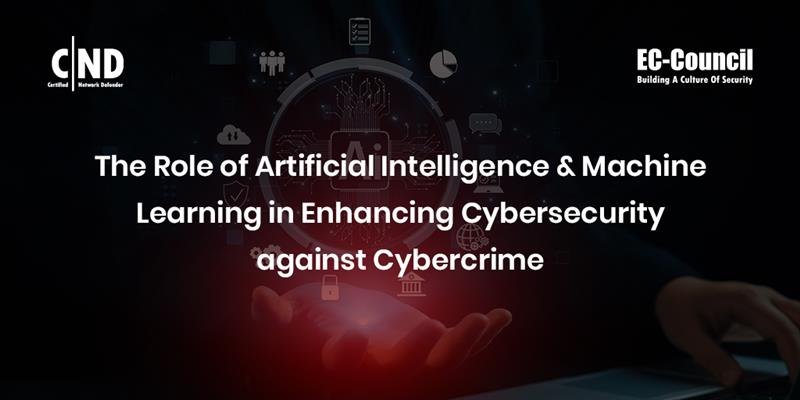 The Role of AI in Cybersecurity: Enhancing Digital Defense Systems